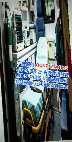 平川借腹生子充电事务所